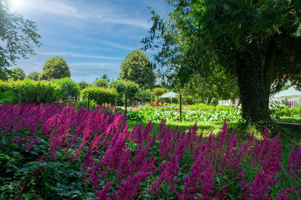 Vila Rozalia Garden Gate Avrig Exterior photo